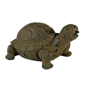 Rokkaku Yukimi Acqua Arte set