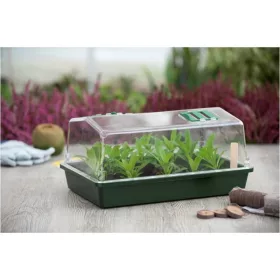   Propagator átlátszó tetővel, két szellőzővel, 21x55x31 cm