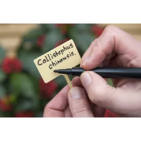 Filctoll 2db /csomag