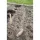 Ültető szett, fából, magasság:30cm átm.18mm-20m