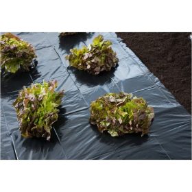   Takarófólia minden veteményféléhez, fekete, 1,40x5m, 30 mikron