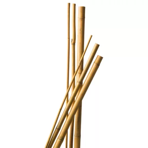 Bambusz növénytámasz 240 cm, átm.18-20 mm, natúr, 3db/csom, 10csom/karton