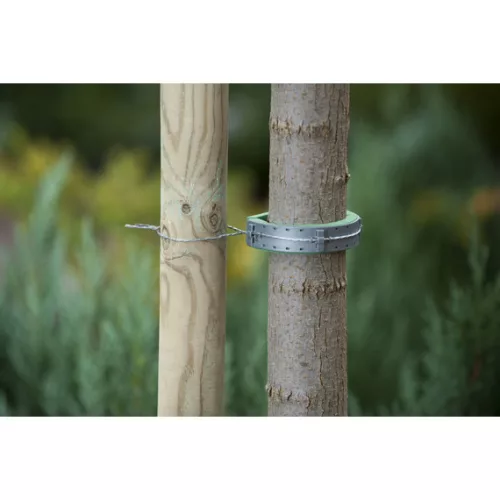 Lágy fatörzsrögzítő 30x2,5 cm, 2db/csom