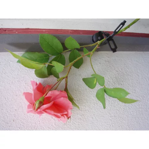 Futónövényrögzítő 150cm