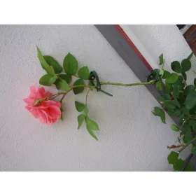 Futónövény rögzítő zöld 25/45mm 6 db-os szett