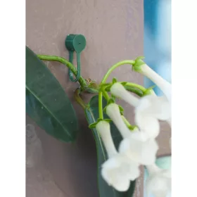 Futónövény rögzítő átm.:15mm, 15 db-os szett