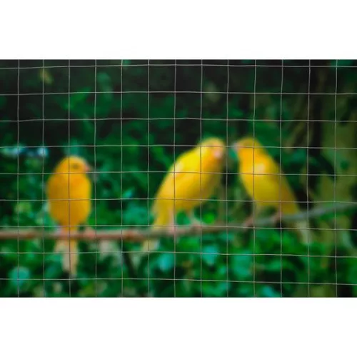 Drótkerítés 13x13 mm galvanizált,1mx5m