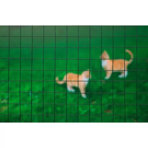 Drótkerítés, 25mmx25mm, műanyag bevonattal, 1mx5m