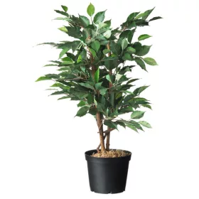 Konténer fekete 4l, 17x 21cm, 3db/csom