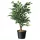 Konténer fekete 4l, 17x 21cm, 3db/csom