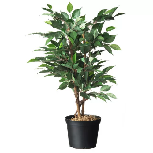 Konténer fekete 4l, 17x 21cm, 3db/csom