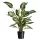 Konténer fekete 6,3l, 21,5x24cm