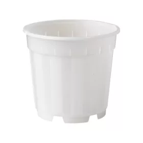 Növénytartály átm. 12cm