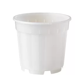 Növénytartály átlátszó átm. 13cm