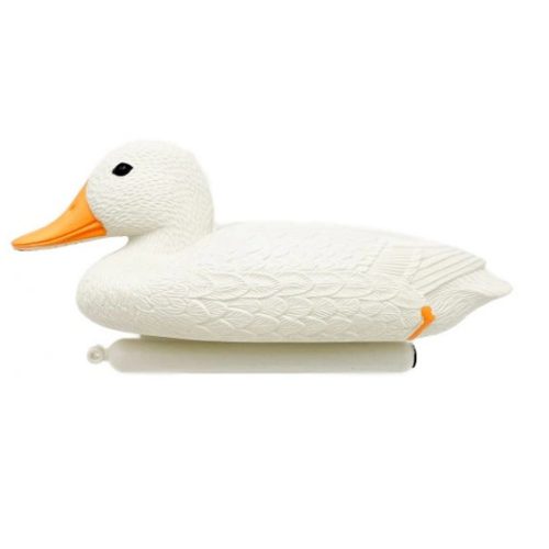 Kacsa fehér