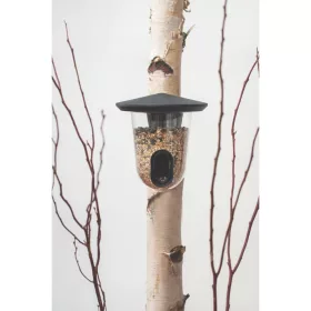 FEEDR műanyag madáretető zöld színben